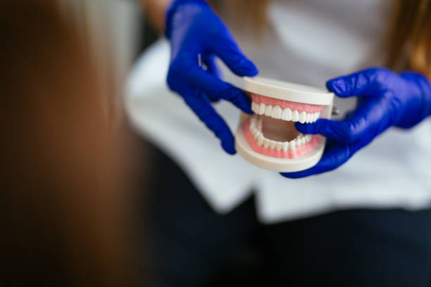 Best Dental Fillings (Composite and Amalgam)  in Chevy Chase Village, MD